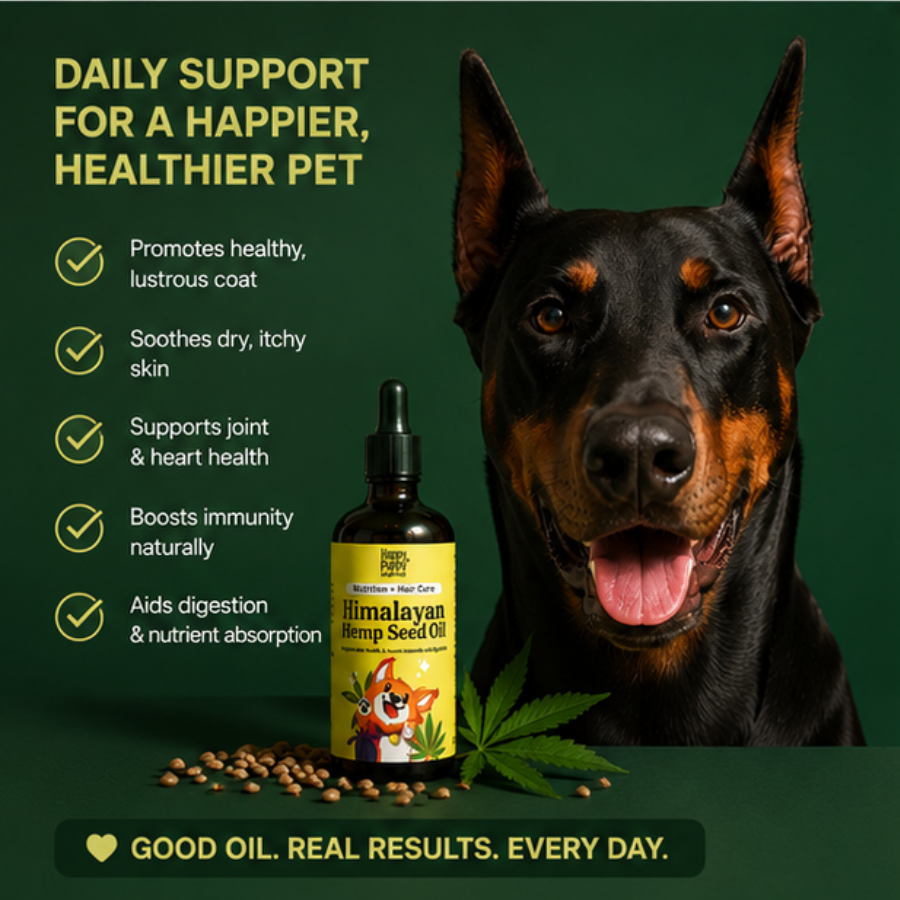 Hemp Seed Oil for pets - Rich in Omega 3