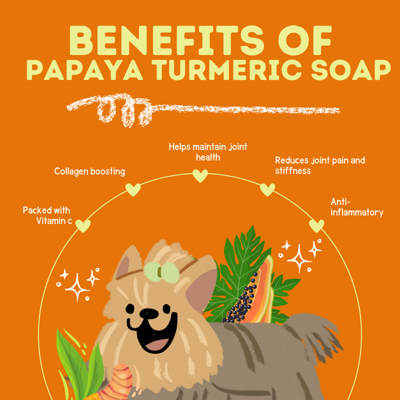 Natural Papaya and Wild Turmeric Soap