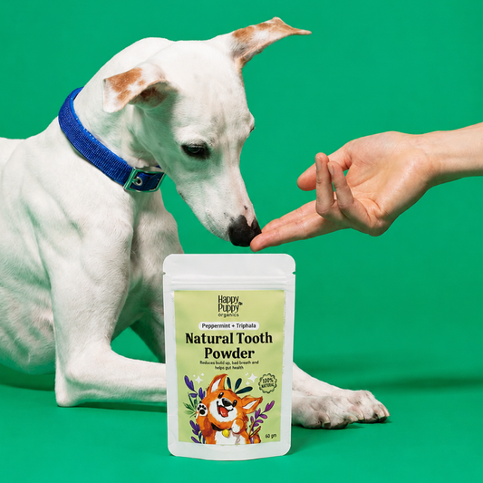 Natural Tooth Powder -  Powerful Oral & Gut Health Support for Dogs