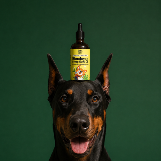 Hemp Seed Oil for pets - Rich in Omega 3