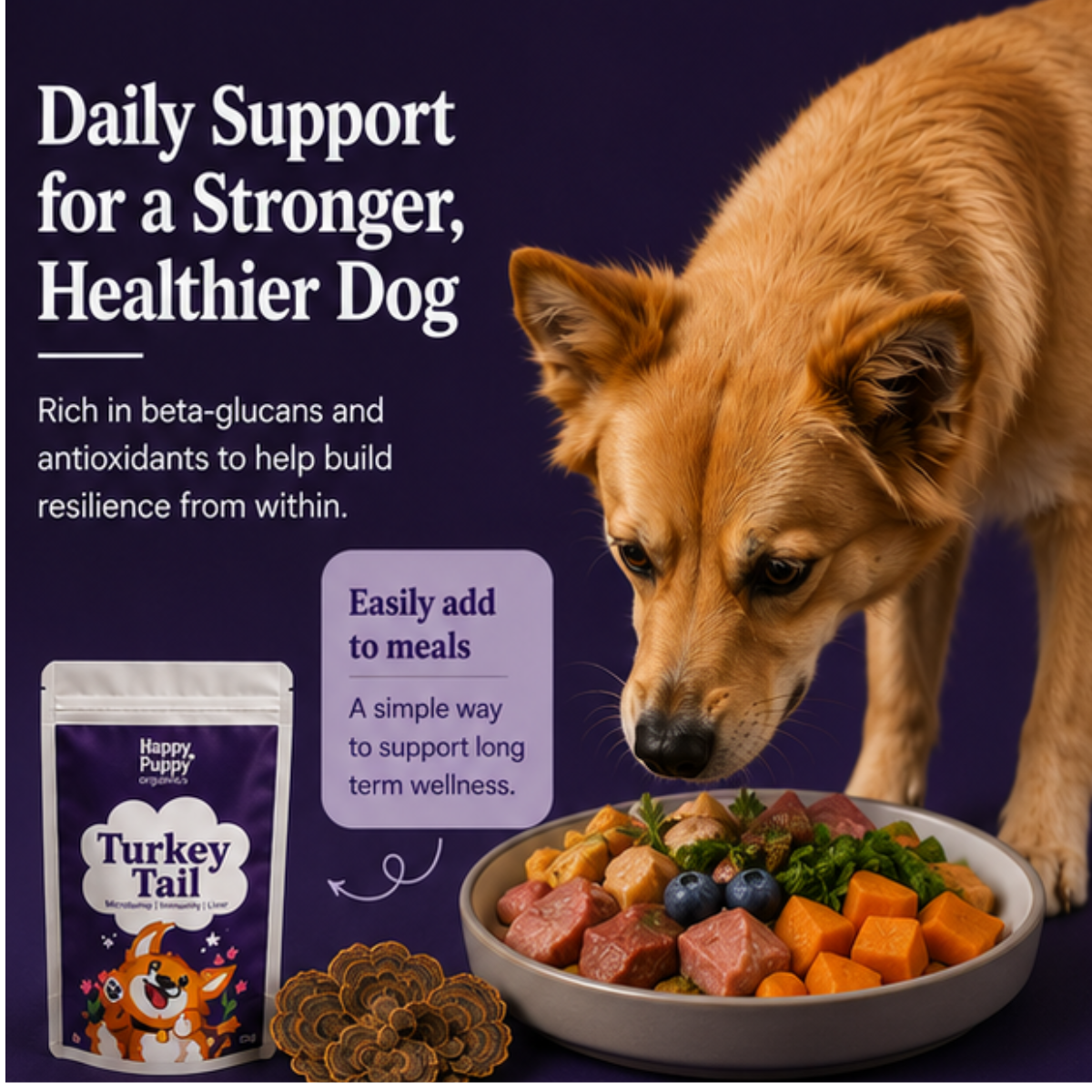 Turkey Tail Mushoom: Gut Microbiome and Anti-cancer powerhouse