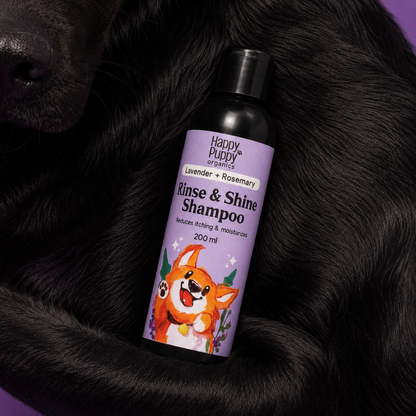 Rinse and Shine Shampoo - Natural Itch Care with Lavender, Rosemary & Coconut Oil