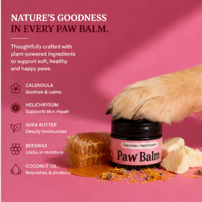 Organic Paw Balm - with Beeswax and healing Calendula