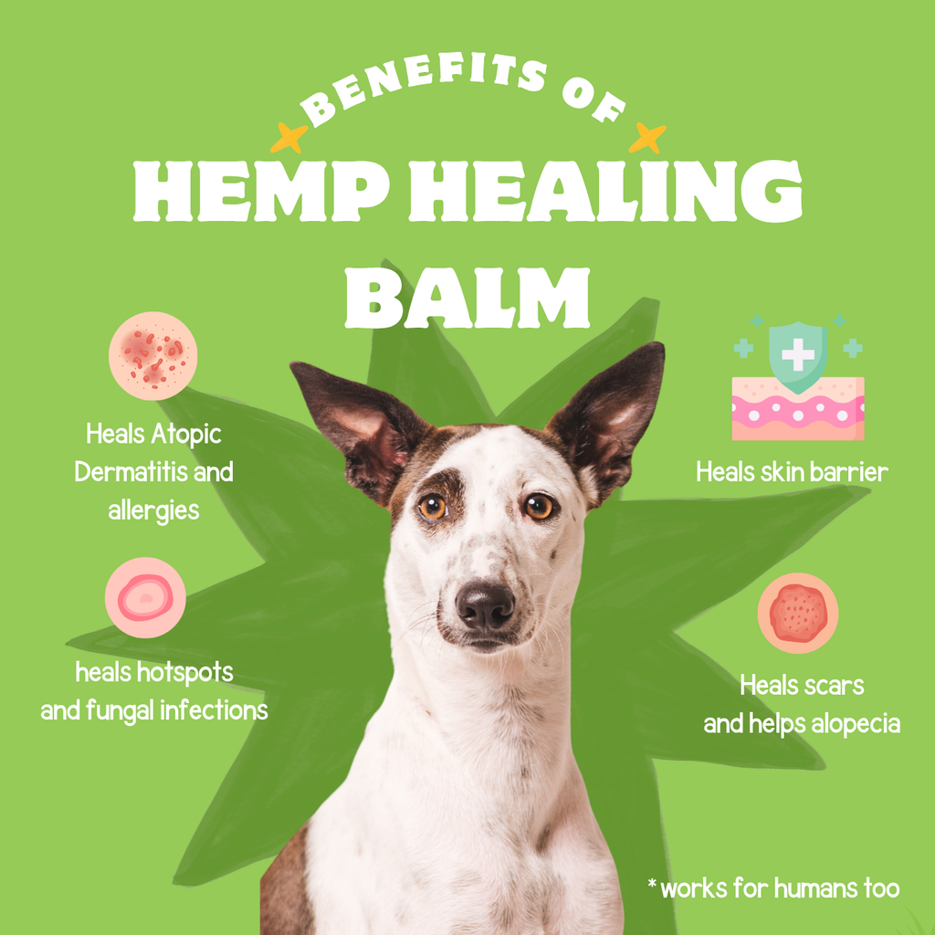Hemp Healing Balm 50gm