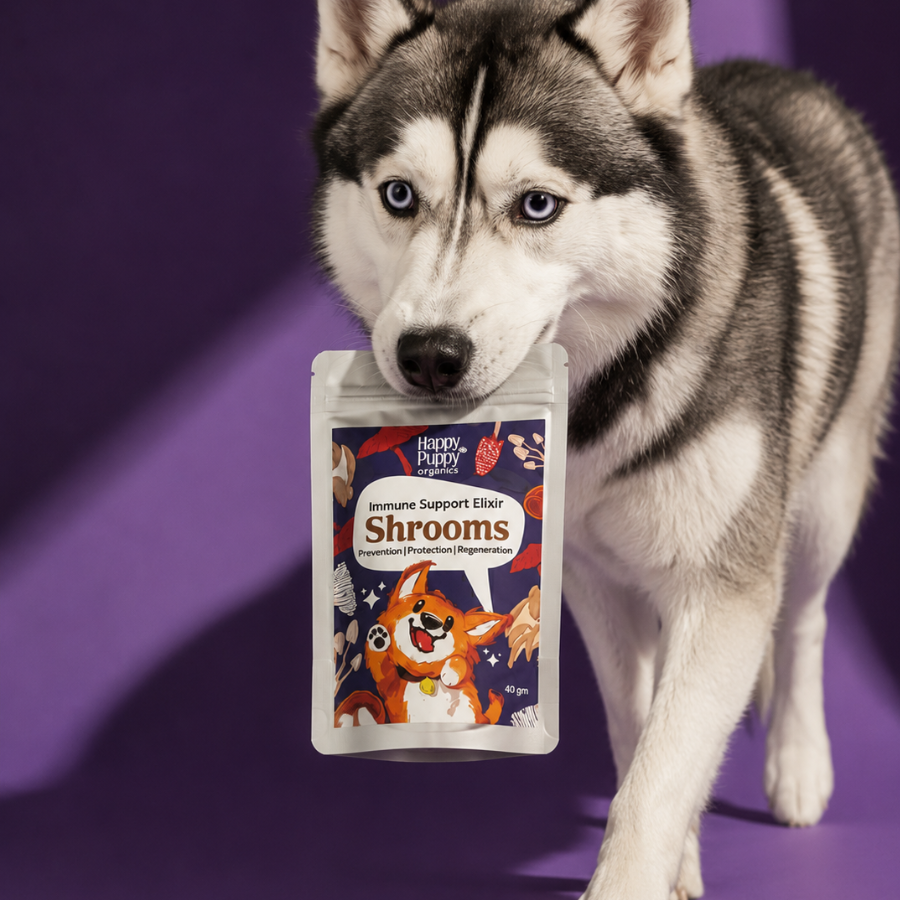 Shrooms Mushroom Elixir - Powerful Immune & Cognitive Support for Dogs