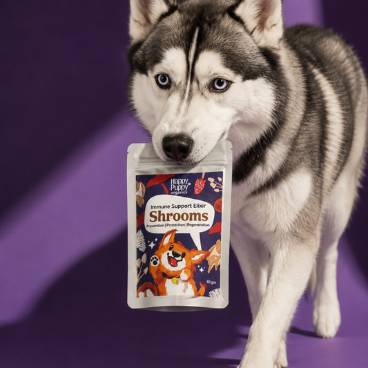 Shrooms Mushroom Elixir - Powerful Immune & Cognitive Support for Dogs