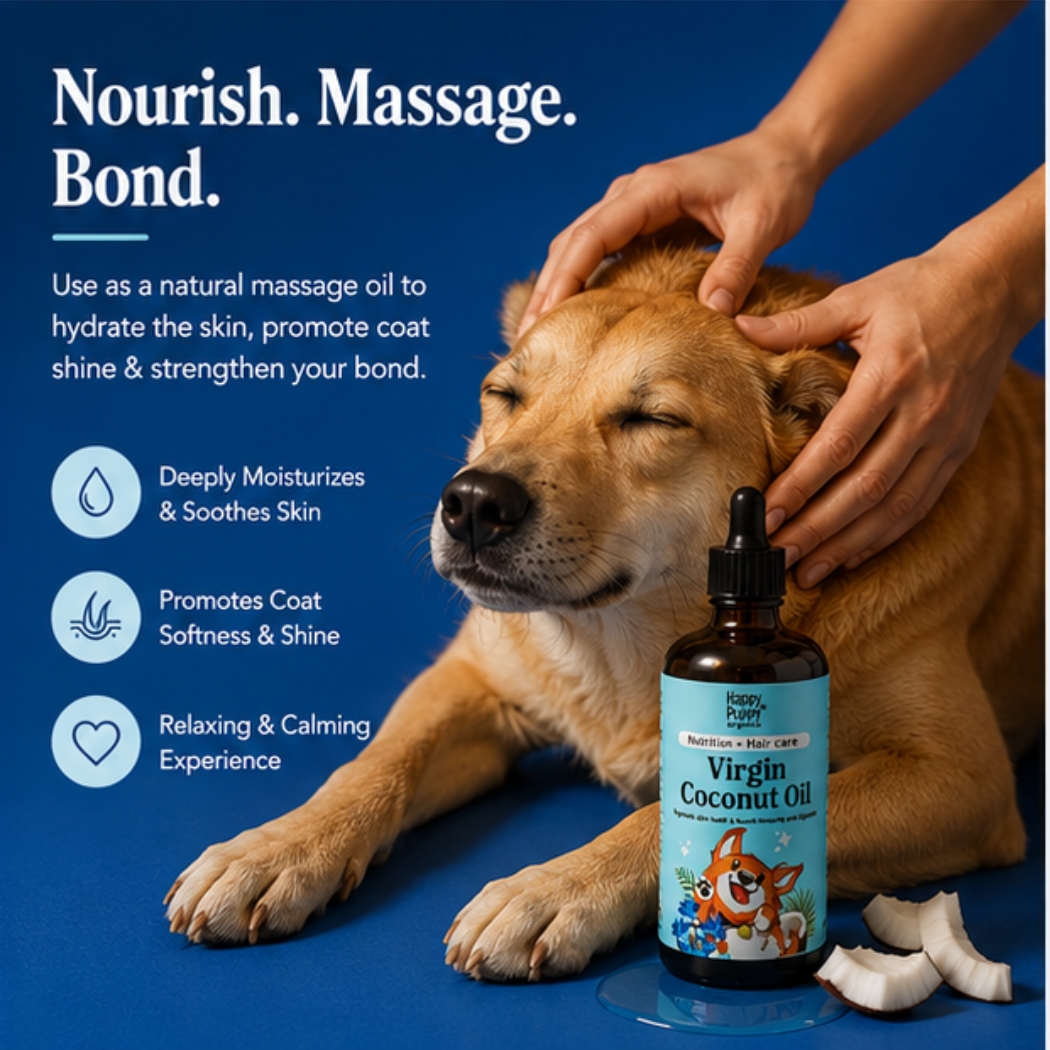 Virgin Coconut Oil for Dogs -  Digestion & Natural Anti-Fungal Support