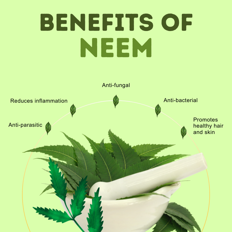 Cold-Pressed Organic Neem Oil – Pure, Powerful Skin & Coat Care for Dogs