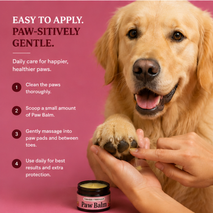 Organic Paw Balm - with Beeswax and healing Calendula