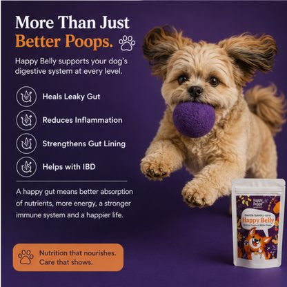 Happy Belly with Slippery Elm