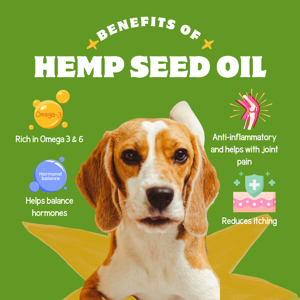 Hemp Seed Oil for pets