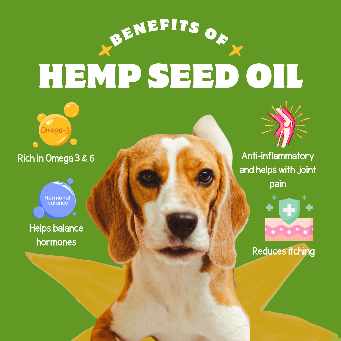 Hemp Seed Oil for pets
