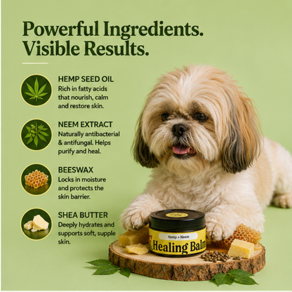Hemp Healing Balm 50gm
