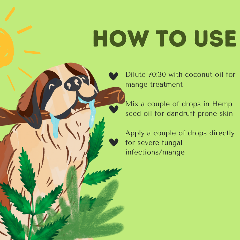 Cold-Pressed Organic Neem Oil – Pure, Powerful Skin & Coat Care for Dogs