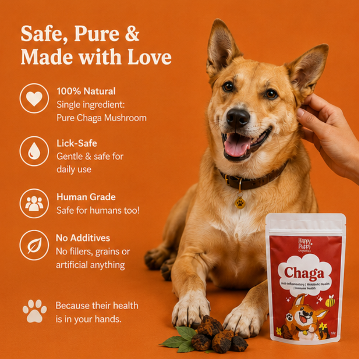 Chaga Mushoom - Cellular Defense & Immune Support for Dogs