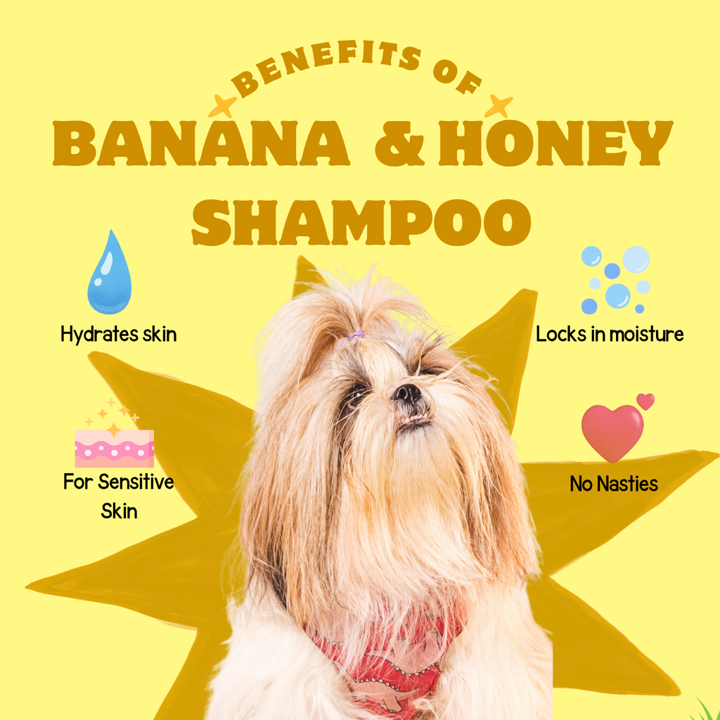 Hydrating Shampoo with Banana & Honey - Moisturizing, Gentle, and Natural