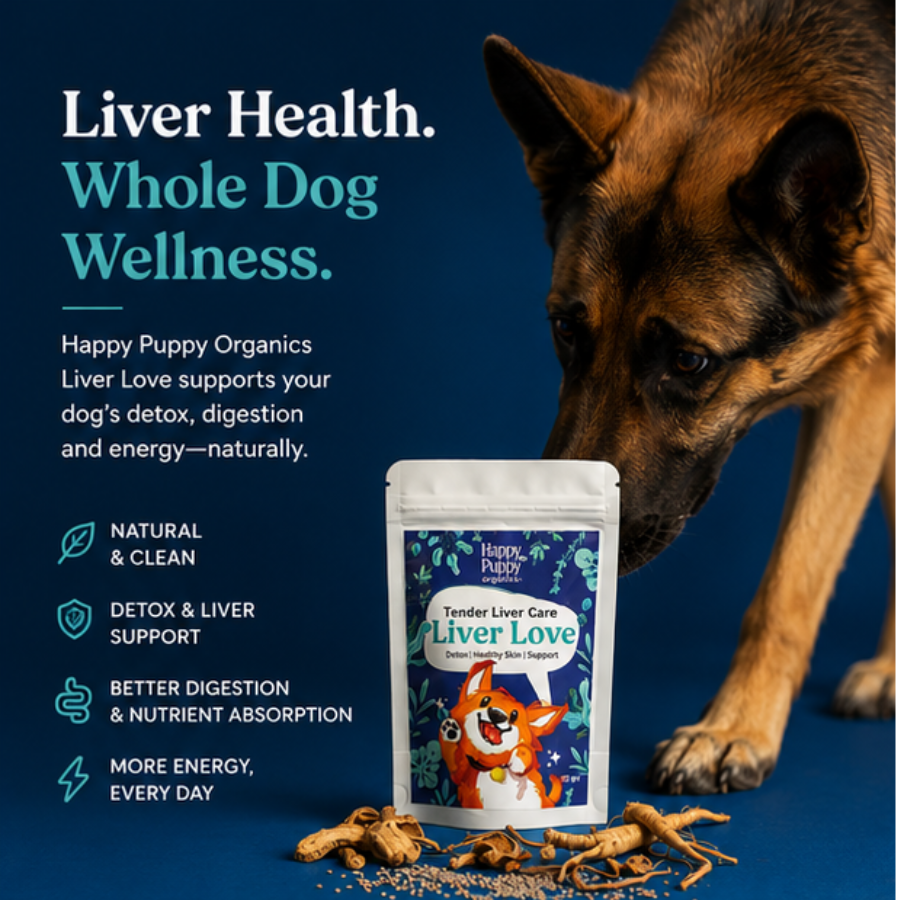 Liver Love: Herbal liver support supplement