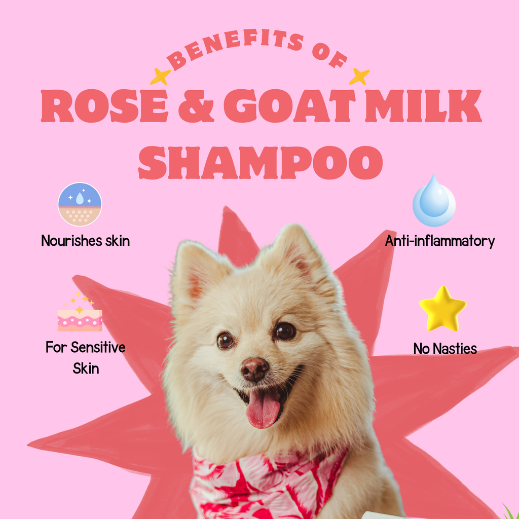 Nourishing Shampoo with Goat Milk, Rose & Cranberry - Hydrate and Soothe Your Dog's Skin