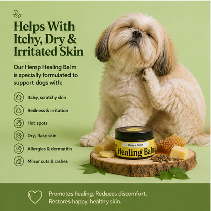 Hemp Healing Balm 50gm