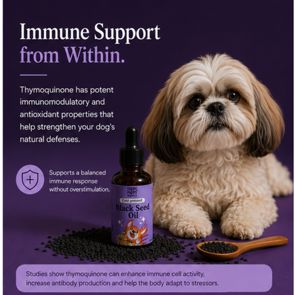 Black Seed Oil for dogs - Powerhouse for Immune, Skin & Digestive Health