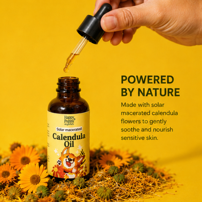 Solar Macerated Calendula oil for Dogs - Gentle Skin Healing