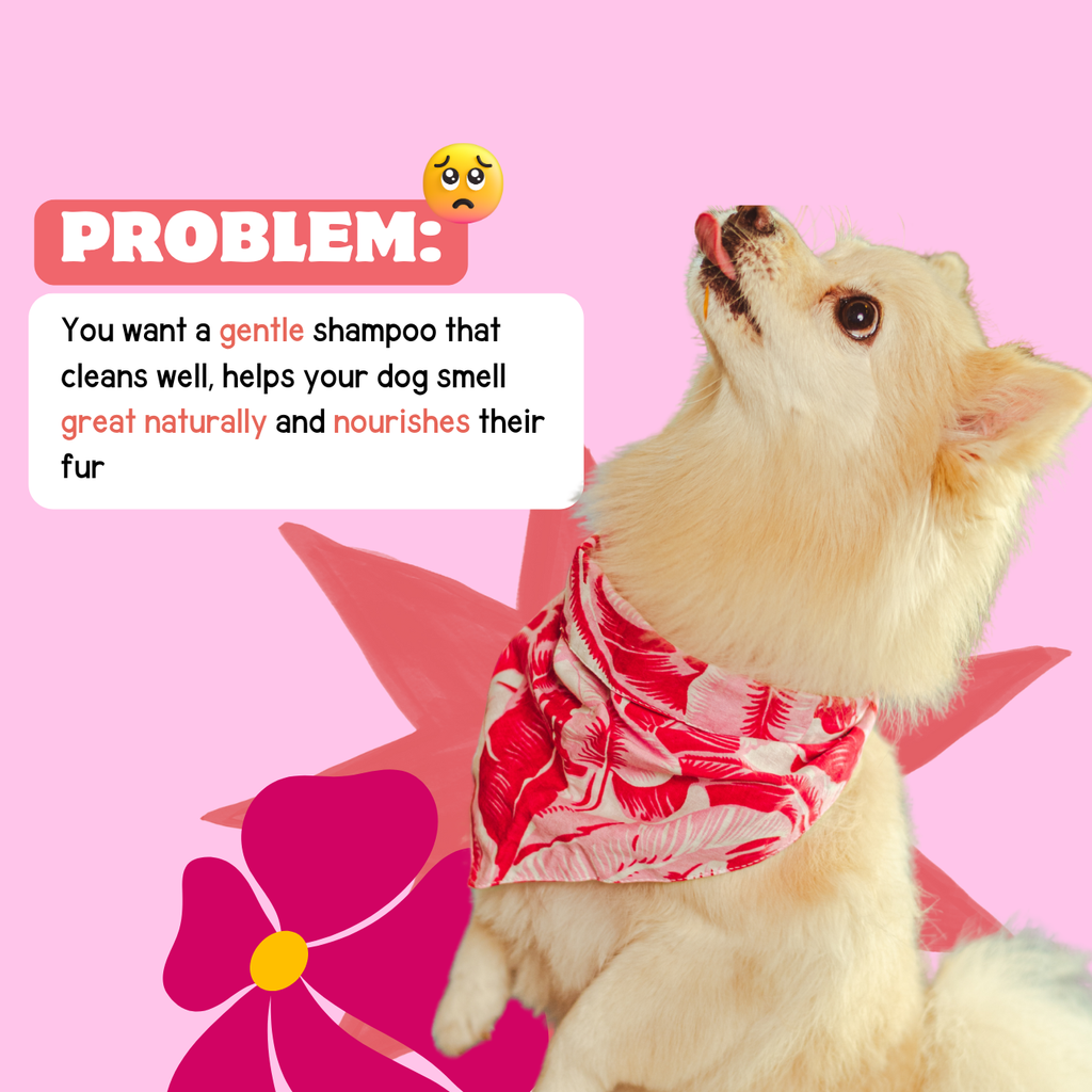 Nourishing Shampoo with Goat Milk, Rose & Cranberry - Hydrate and Soothe Your Dog's Skin