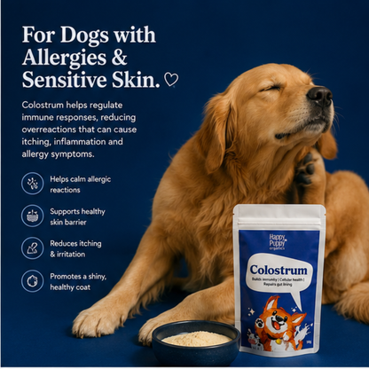 Colostrum for dogs- Immunity, Gut & Allergy Support