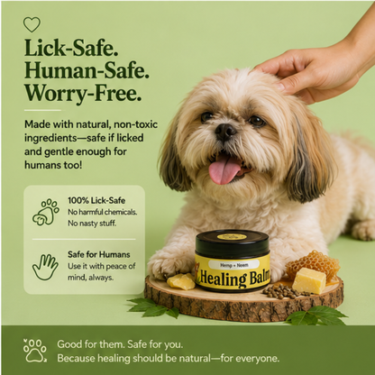 Hemp Healing Balm 50gm