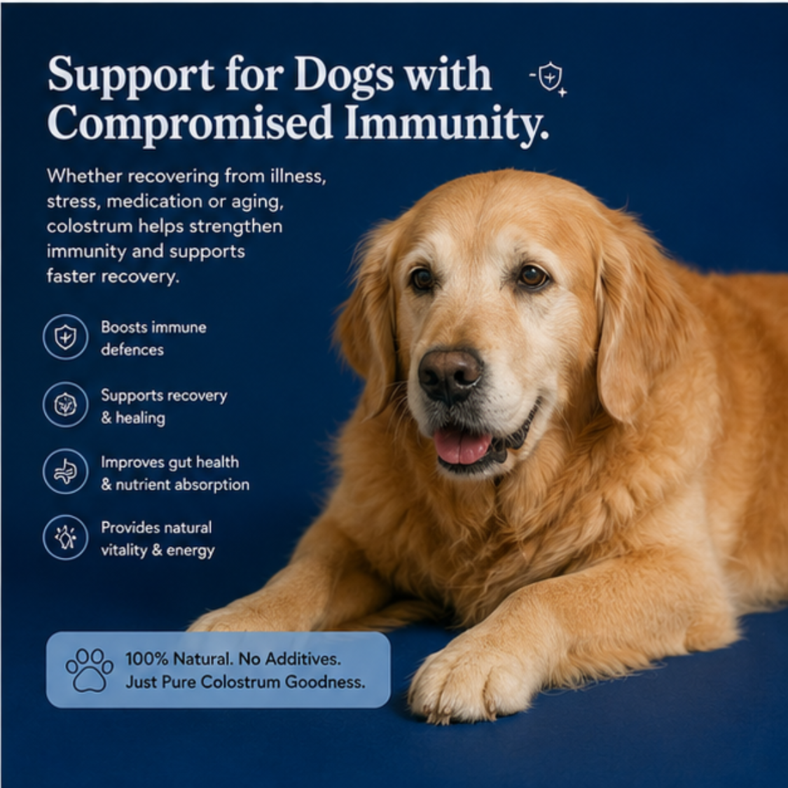 Colostrum for dogs- Immunity, Gut & Allergy Support