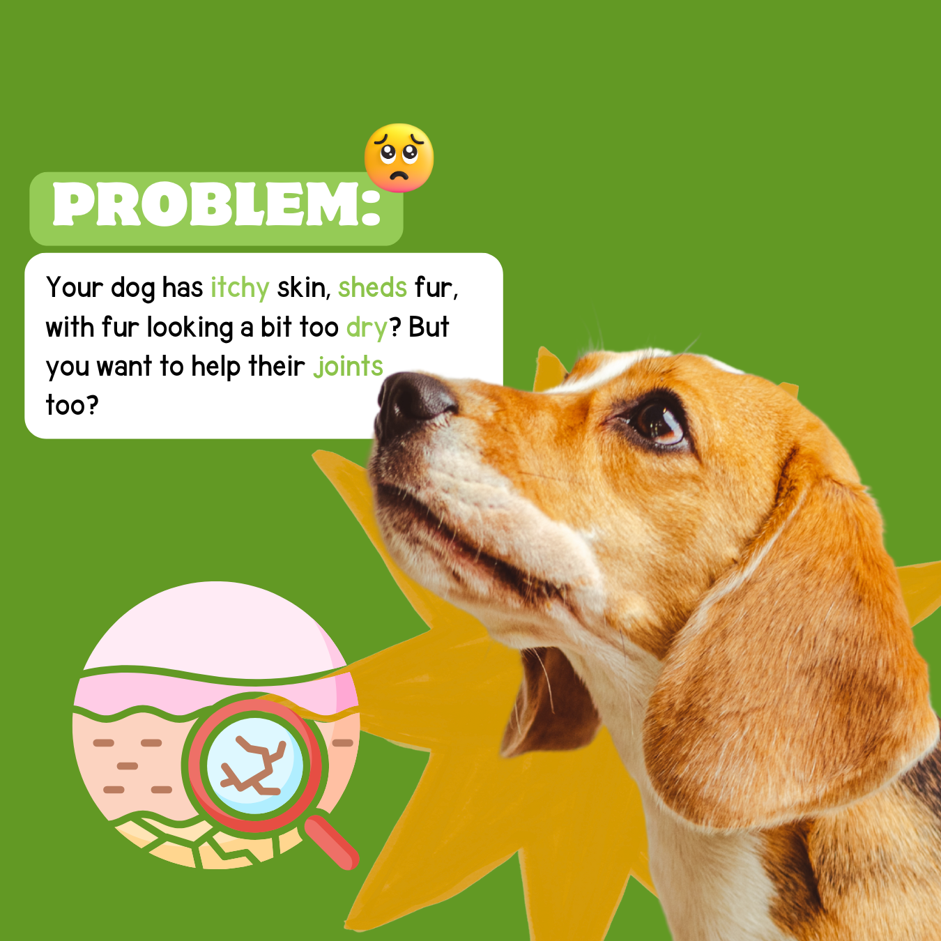 Hemp Seed Oil for pets