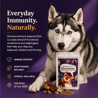 Shrooms Mushroom Elixir - Powerful Immune & Cognitive Support for Dogs