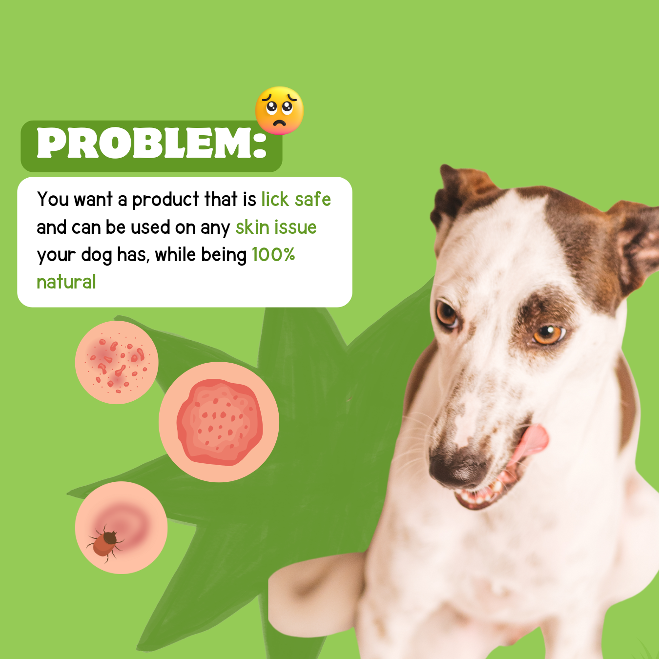 Hemp Healing Balm 50gm