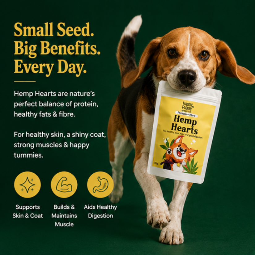 Hemp Hearts - Nutrient-Rich Superfood for Skin, Coat & Overall Vitality
