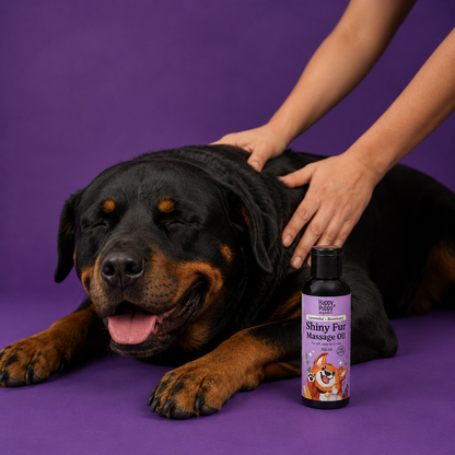 Shiny Fur Spa Oil: Aromatherapy Bliss for Fur Regrowth & Radiant Coat