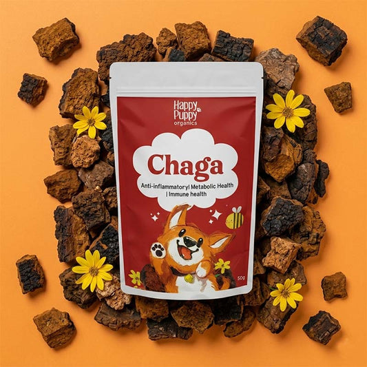 Chaga Mushoom - Cellular Defense & Immune Support for Dogs