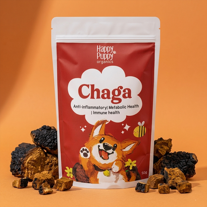Chaga Mushoom - Cellular Defense & Immune Support for Dogs