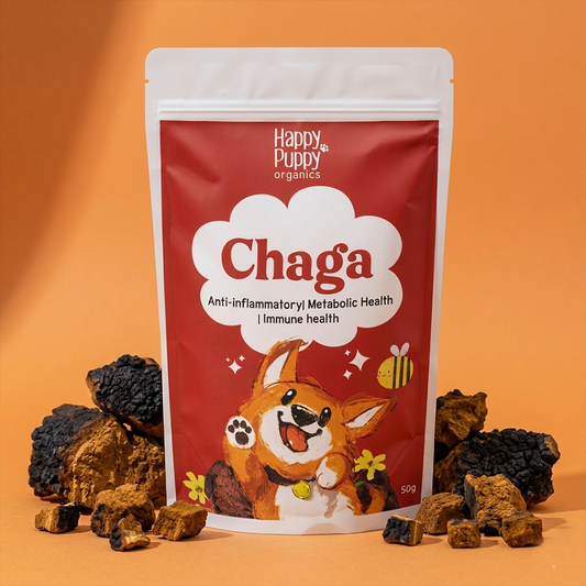 Chaga Mushoom - Cellular Defense & Immune Support for Dogs