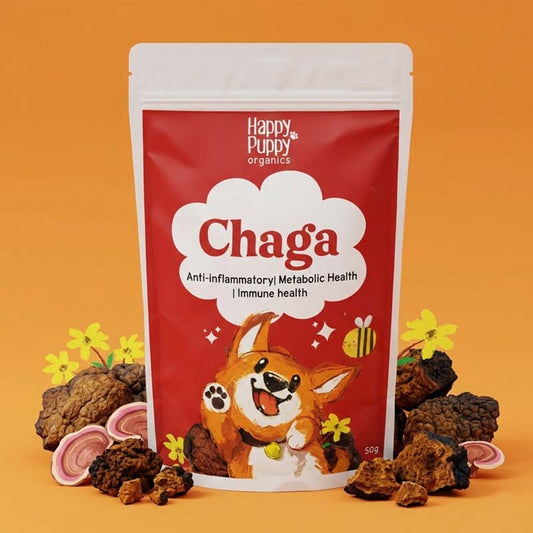 Chaga Mushoom - Cellular Defense & Immune Support for Dogs