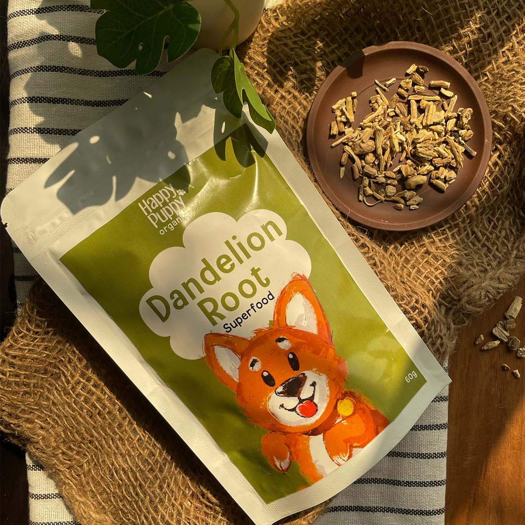 Dandelion Root For Dogs  - Kidney and immune support