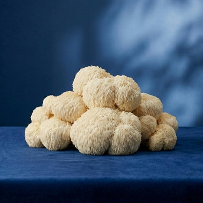 Lions Mane Mushroom - Nervous and Cognitive support