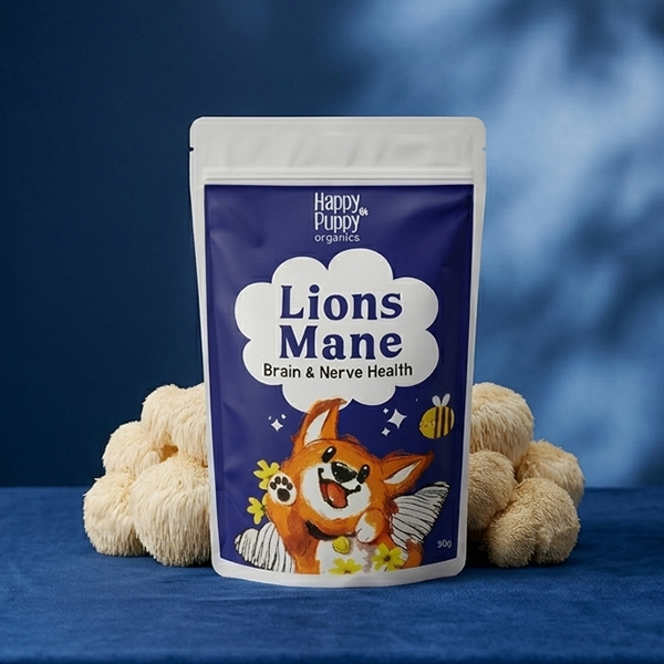 Lions Mane Mushroom - Nervous and Cognitive support