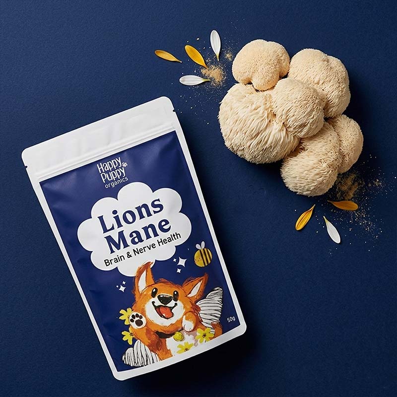 Lions Mane Mushroom - Nervous and Cognitive support