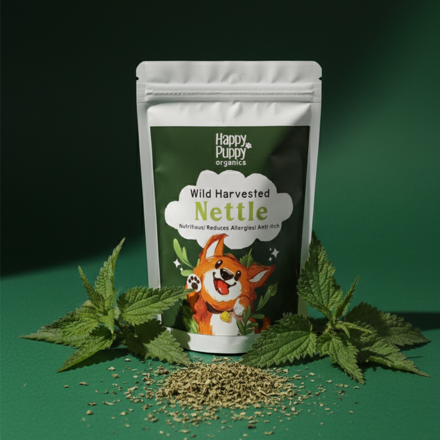 Stinging Nettle – Natural Support for Allergy Relief & Itching in Dogs