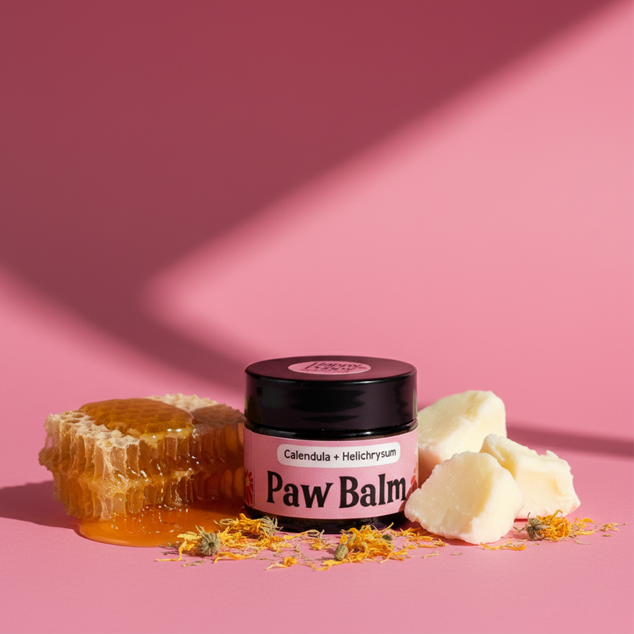 Calendula Paw Balm -  Ultimate Healing & Protection for Your Dog’s Paws