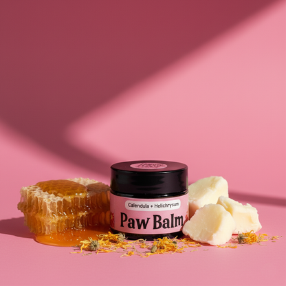 Calendula Paw Balm -  Ultimate Healing & Protection for Your Dog’s Paws