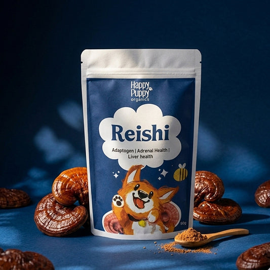 Reishi - Adaptogenic Calm & Resilience Mushroom for Dogs