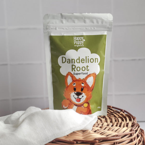 Dandelion Root For Dogs  - Kidney and immune support