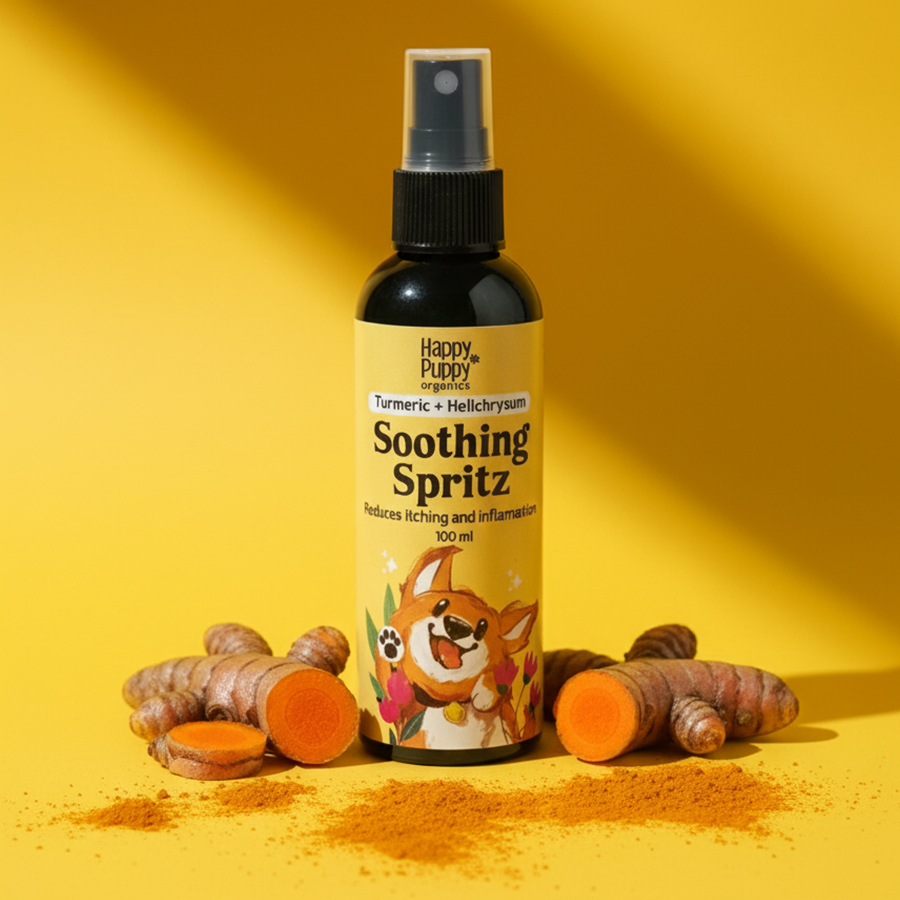 Turmeric Spritz – Soothing & Protective Mist for Skin and Coat