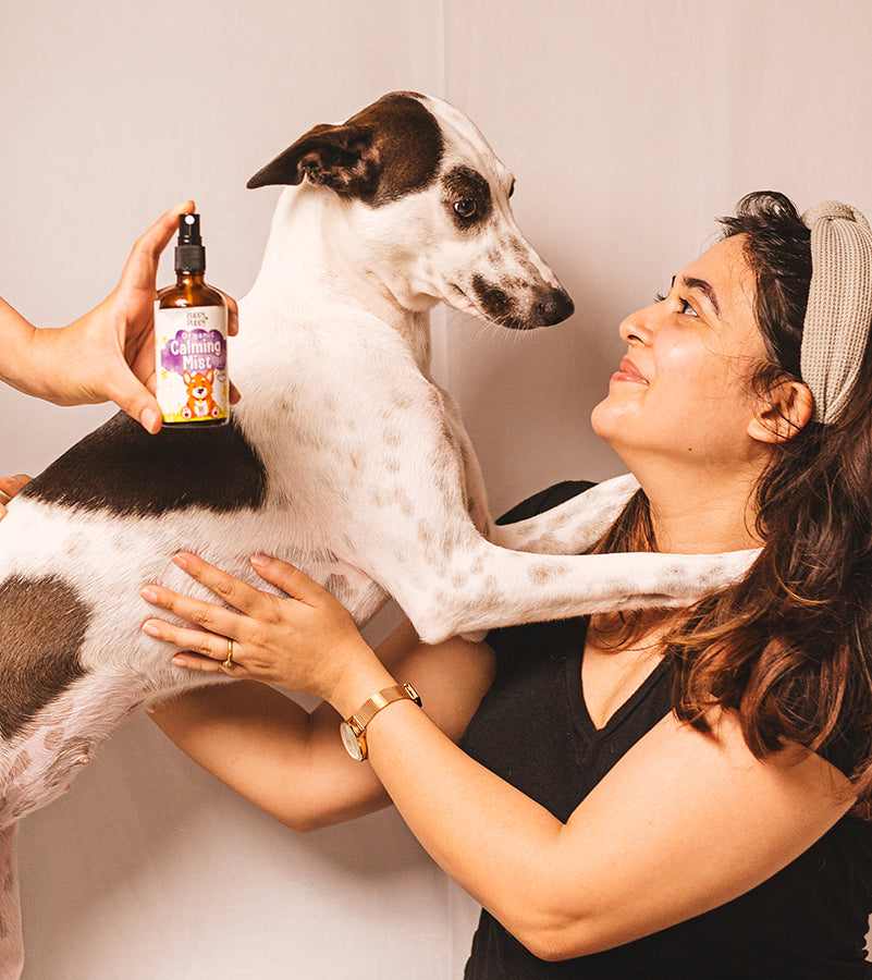 Calming mist for dogs