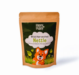 nettle leaf supplement for dogs